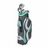 Ray Cook Gyro Women's Graphite Golf Set - Right Hand - Ladies Flex - 9 Clubs + Bag -Clubs Sales ladies gyro complete set 11