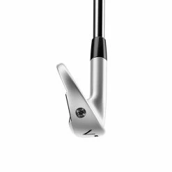 TaylorMade P770 (4-P) Steel Irons -Clubs Sales p770 irons 5 1